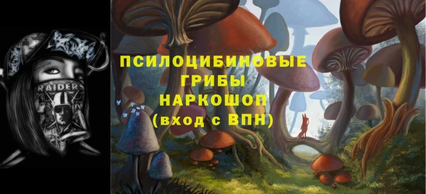 соль ск Абинск