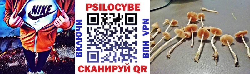Псилоцибиновые грибы Cubensis Саратов